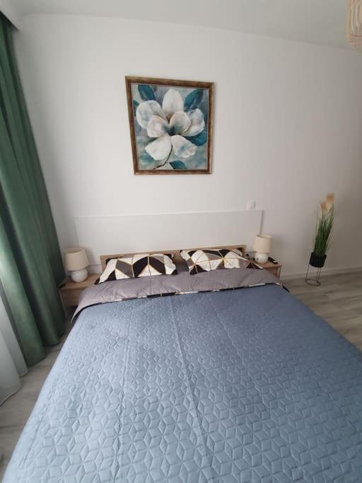 Apartament Ama Sibiu Exterior foto
